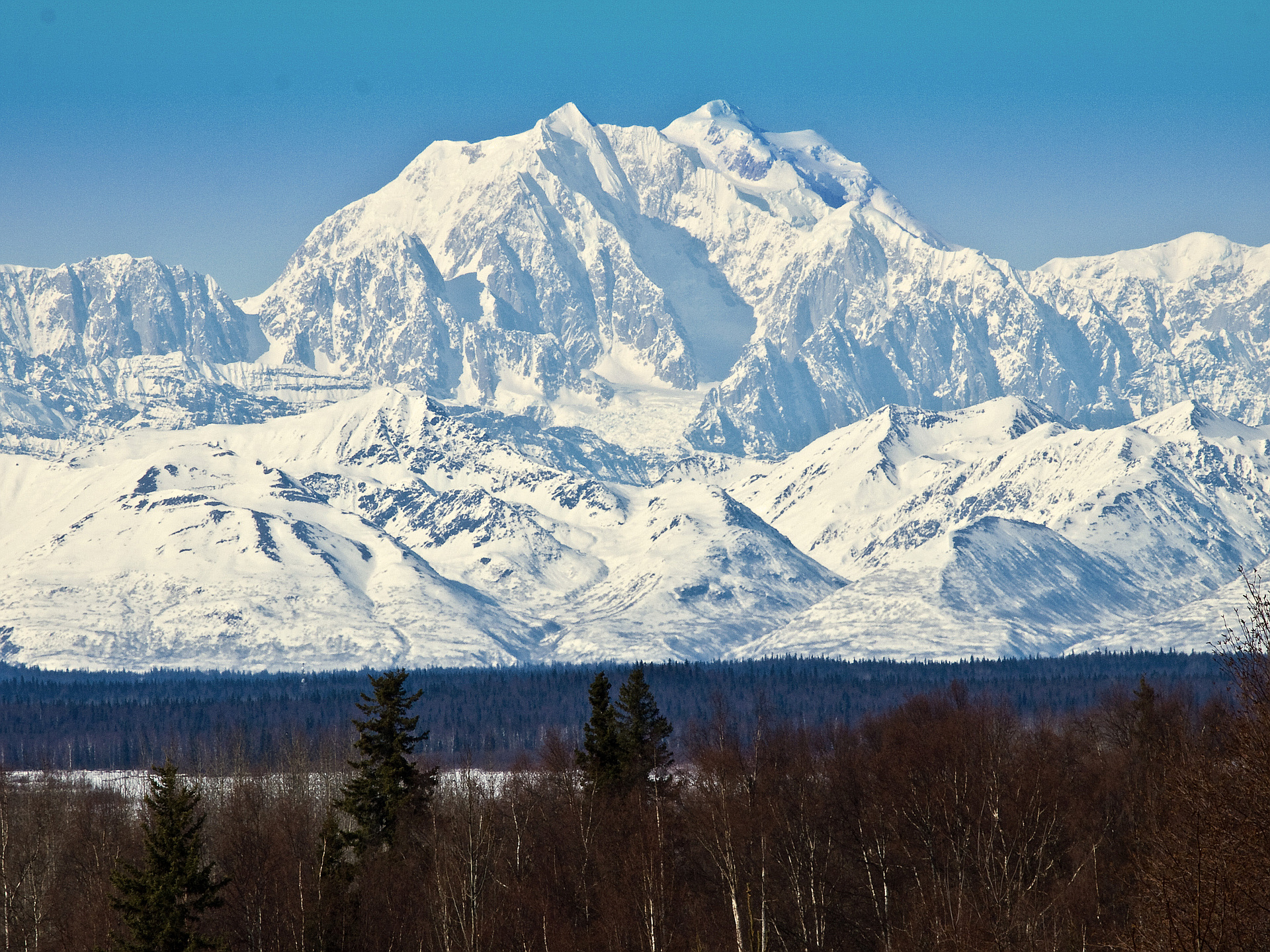 Foraker pic