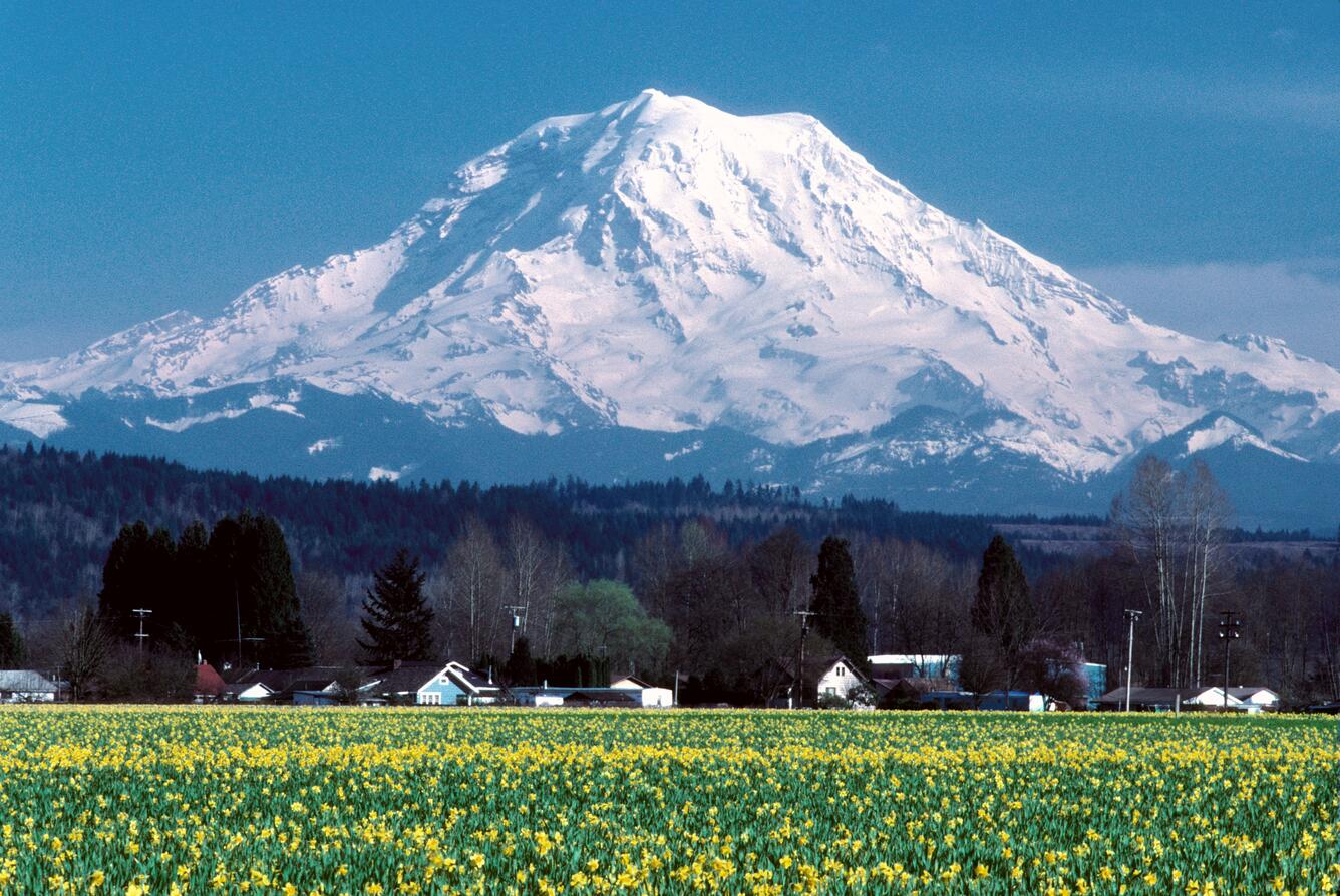 Rainier pic