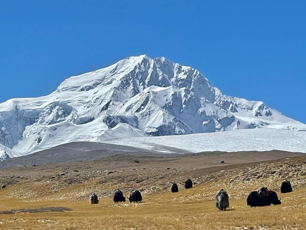 Shishapangma pic
